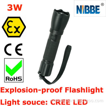 Explosion-Proof Flashlight/Hand Lamp